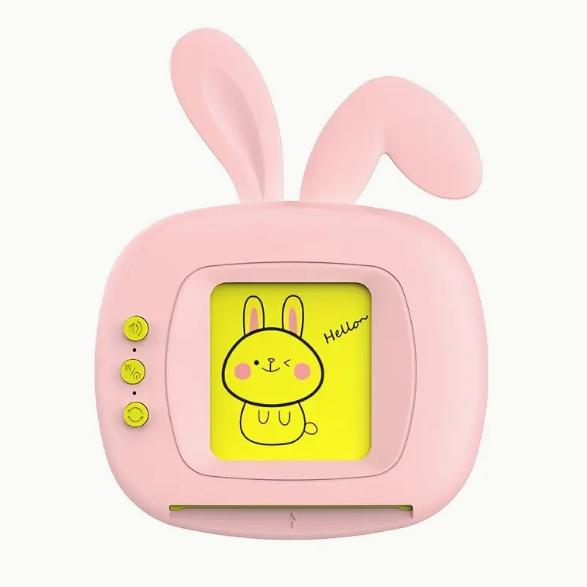 Small Model Bunny Talking Flash Cards（blue/pink）