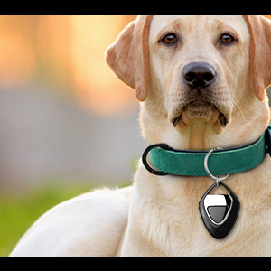 Tag Air Tracker, Trackers Like Airtgas, Luggage Tracker Works with Apple Find My [ iOS ONLY ], Key Finder Locator with Sound, 0.3oz, for (Car) Keys, Backpack, Pets, Kids