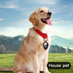 Tag Air Tracker, Trackers Like Airtgas, Luggage Tracker Works with Apple Find My [ iOS ONLY ], Key Finder Locator with Sound, 0.3oz, for (Car) Keys, Backpack, Pets, Kids